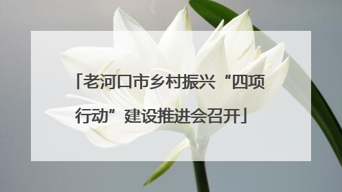 老河口市乡村振兴“四项行动”建设推进会召开