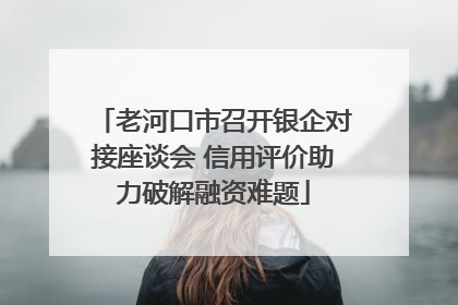 老河口市召开银企对接座谈会 信用评价助力破解融资难题