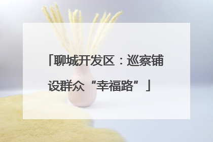 聊城开发区：巡察铺设群众“幸福路”