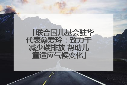 联合国儿基会驻华代表桑爱玲：致力于减少碳排放 帮助儿童适应气候变化