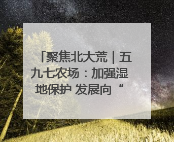聚焦北大荒｜五九七农场：加强湿地保护 发展向“绿”而行