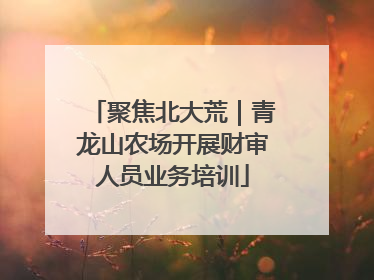 聚焦北大荒｜青龙山农场开展财审人员业务培训