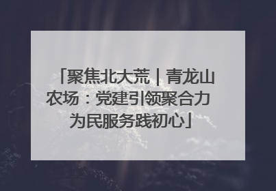 聚焦北大荒｜青龙山农场：党建引领聚合力 为民服务践初心