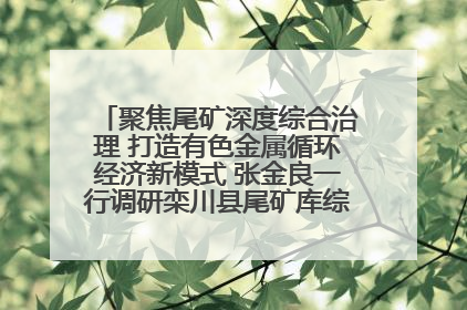 聚焦尾矿深度综合治理 打造有色金属循环经济新模式 张金良一行调研栾川县尾矿库综合治理工作
