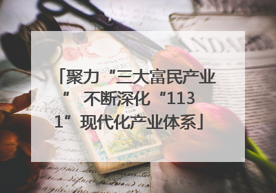聚力“三大富民产业” 不断深化“1131”现代化产业体系