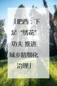 肥西：下足“绣花”功夫 推进城乡精细化治理