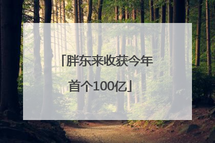 胖东来收获今年首个100亿