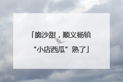 脆沙甜，顺义杨镇“小店西瓜”熟了