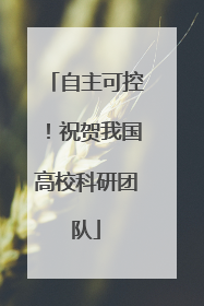 自主可控！祝贺我国高校科研团队