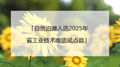 自贡沿滩入选2025年省工业技术改造试点县