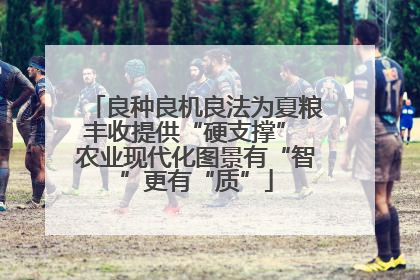 良种良机良法为夏粮丰收提供“硬支撑” 农业现代化图景有“智”更有“质”