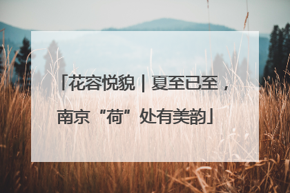 花容悦貌｜夏至已至，南京“荷”处有美韵