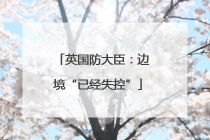 英国防大臣:边境“已经失控”