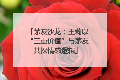 茅友沙龙：王莉以“三重价值”与茅友共探情感逻辑