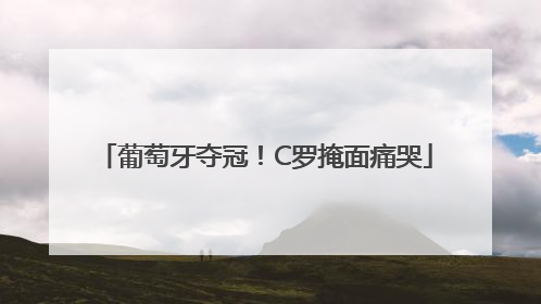葡萄牙夺冠！C罗掩面痛哭