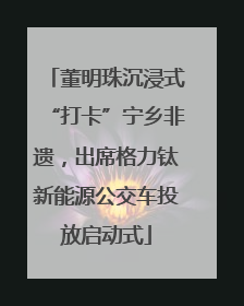 董明珠沉浸式“打卡”宁乡非遗，出席格力钛新能源公交车投放启动式