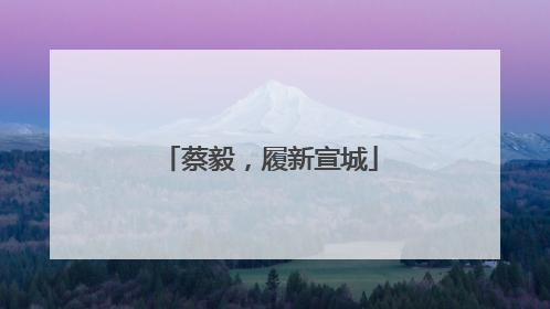 蔡毅，履新宣城