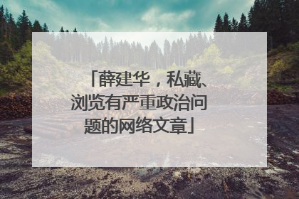 薛建华，私藏、浏览有严重政治问题的网络文章