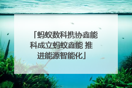 蚂蚁数科携协鑫能科成立蚂蚁鑫能 推进能源智能化
