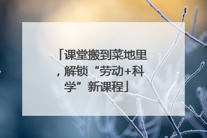 课堂搬到菜地里，解锁“劳动+科学”新课程