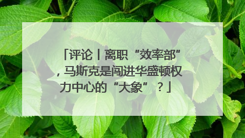 评论丨离职“效率部”，马斯克是闯进华盛顿权力中心的“大象”？