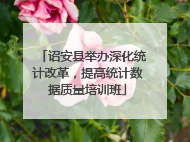诏安县举办深化统计改革，提高统计数据质量培训班