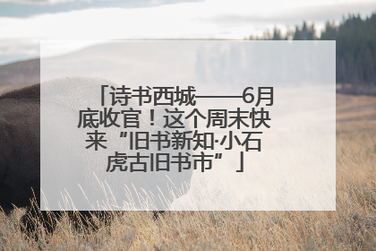 诗书西城——6月底收官！这个周末快来“旧书新知·小石虎古旧书市”