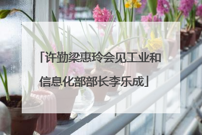 许勤梁惠玲会见工业和信息化部部长李乐成