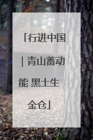行进中国｜青山蓄动能 黑土生金仓