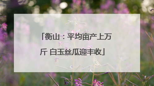 衡山：平均亩产上万斤 白玉丝瓜迎丰收