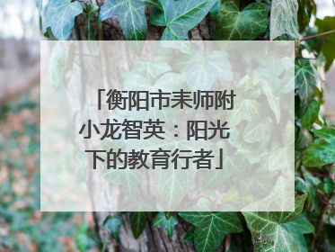 衡阳市耒师附小龙智英：阳光下的教育行者
