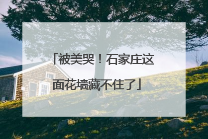被美哭！石家庄这面花墙藏不住了