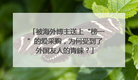 被海外博主送上“榜一”的爱采购，为何受到了外国友人的青睐？
