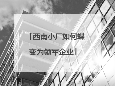 西南小厂如何蝶变为领军企业