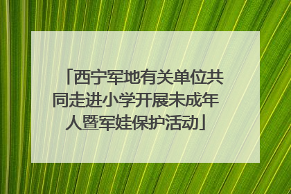 西宁军地有关单位共同走进小学开展未成年人暨军娃保护活动