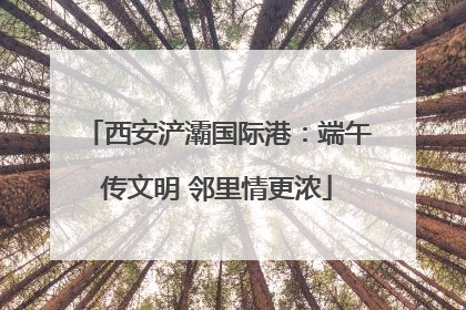 西安浐灞国际港：端午传文明 邻里情更浓