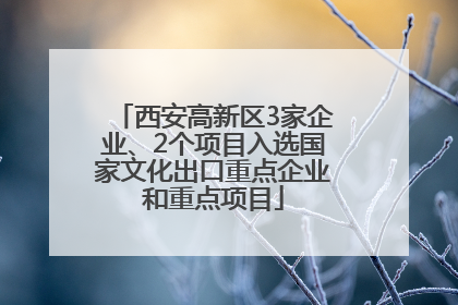 西安高新区3家企业、2个项目入选国家文化出口重点企业和重点项目