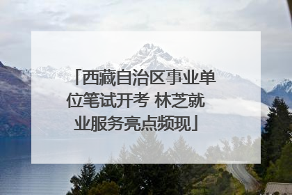 西藏自治区事业单位笔试开考 林芝就业服务亮点频现