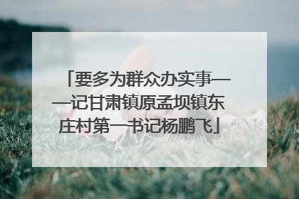 要多为群众办实事——记甘肃镇原孟坝镇东庄村第一书记杨鹏飞