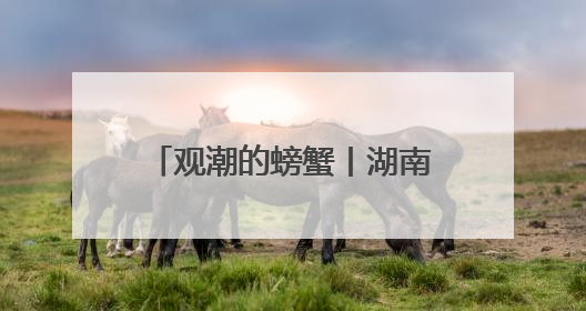 观潮的螃蟹丨湖南省领导53场专题调研聚焦这件事