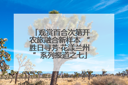 观赏百合次第开 农旅融合新样本 “胜日寻芳·花漾兰州”系列报道之七