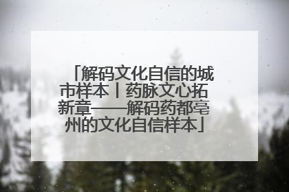 解码文化自信的城市样本丨药脉文心拓新章——解码药都亳州的文化自信样本