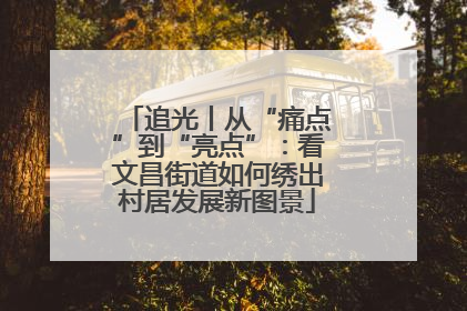追光丨从“痛点”到“亮点”：看文昌街道如何绣出村居发展新图景