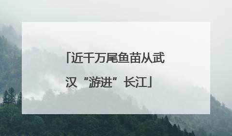 近千万尾鱼苗从武汉“游进”长江