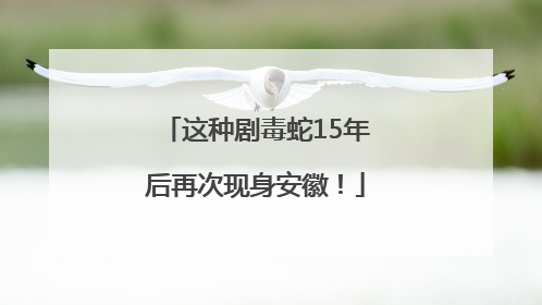 这种剧毒蛇15年后再次现身安徽！