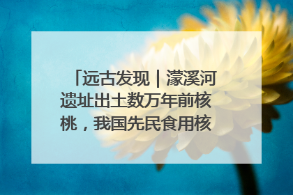 远古发现｜濛溪河遗址出土数万年前核桃，我国先民食用核桃历史大幅提前