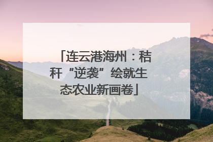 连云港海州:秸秆“逆袭”绘就生态农业新画卷