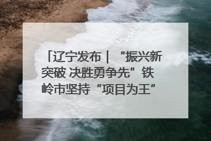 辽宁发布｜“振兴新突破 决胜勇争先”铁岭市坚持“项目为王”推进经济高质量发展