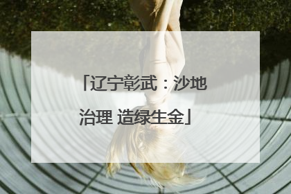 辽宁彰武：沙地治理 造绿生金
