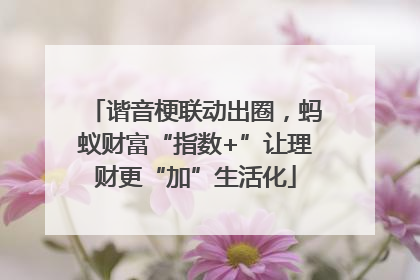 谐音梗联动出圈，蚂蚁财富“指数+”让理财更“加”生活化